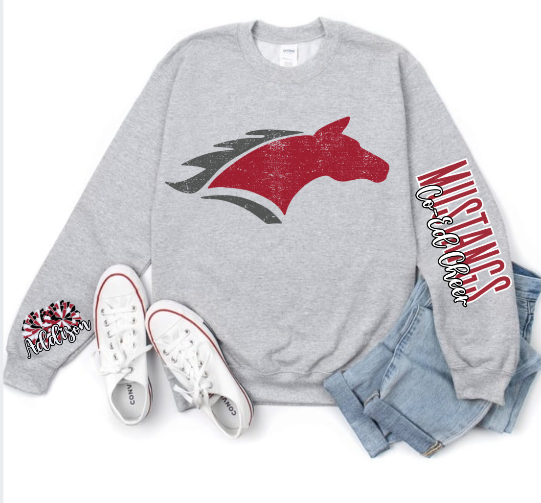 Custom Co Ed Cheer Mustangs