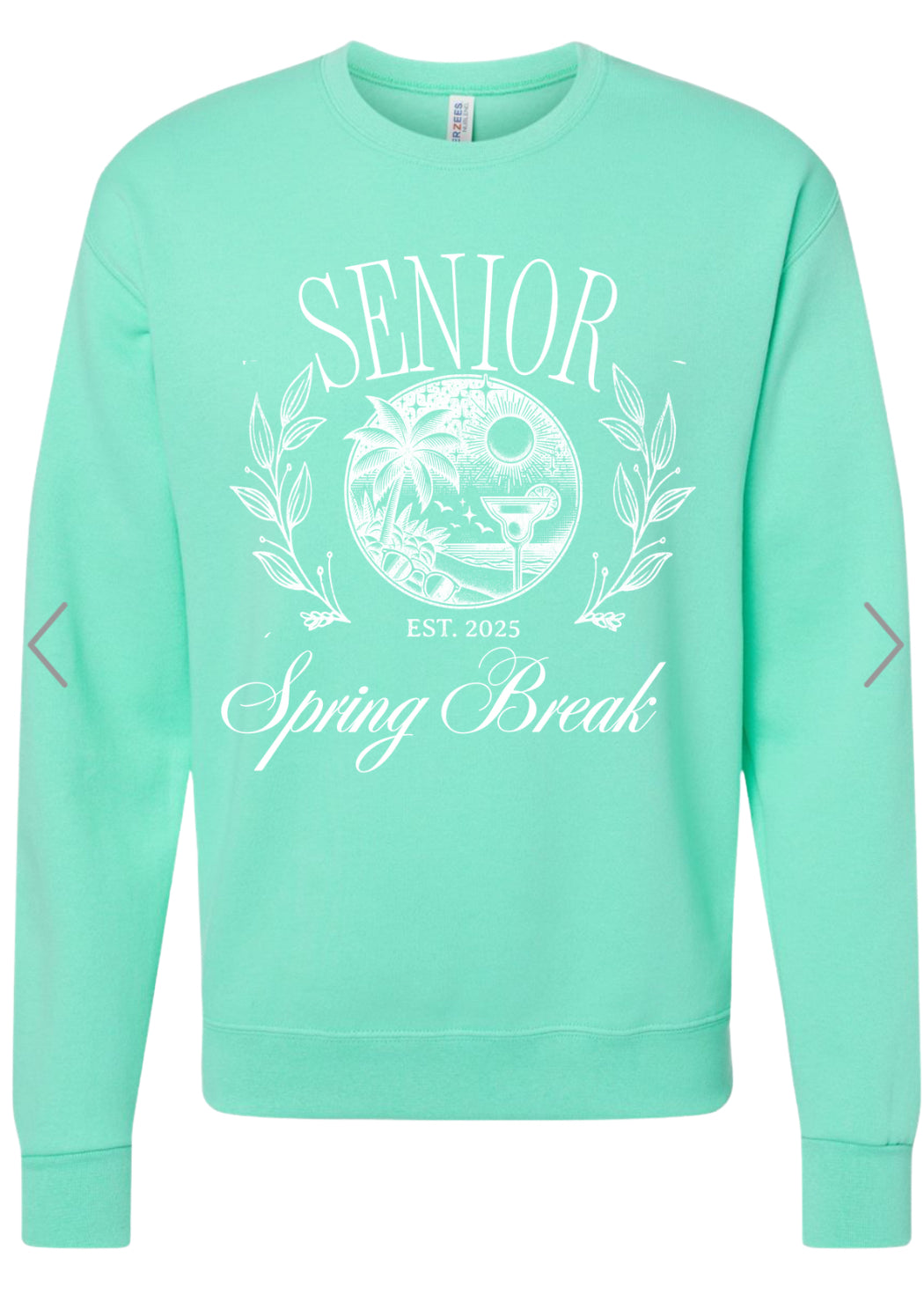 Senior Spring Break tshirt or sweatshirt