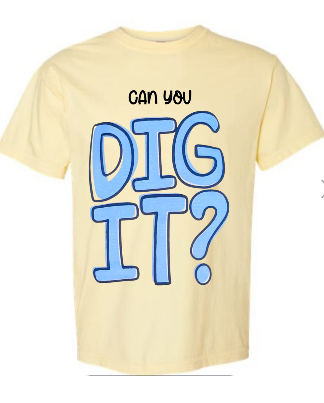 Volleyball Can you did it