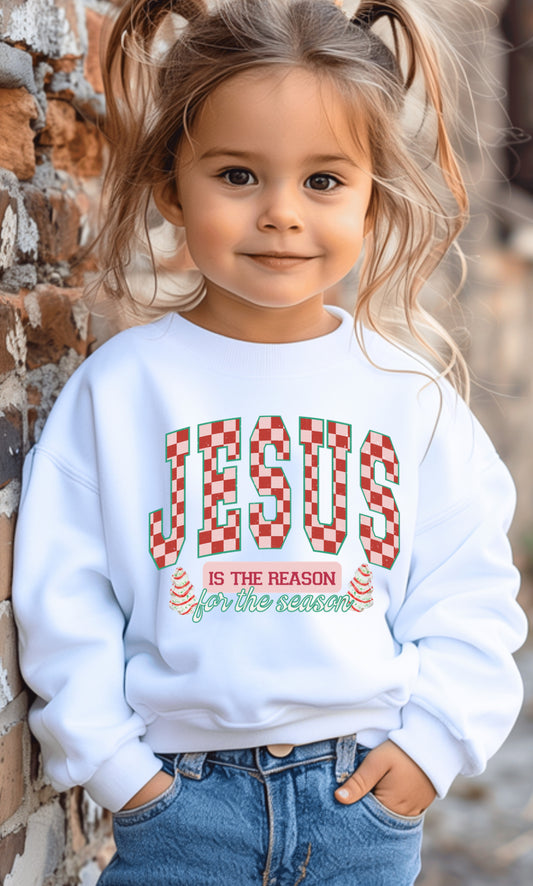 Jesus is the Reason Christmas T-shirt or Sweatshirt
