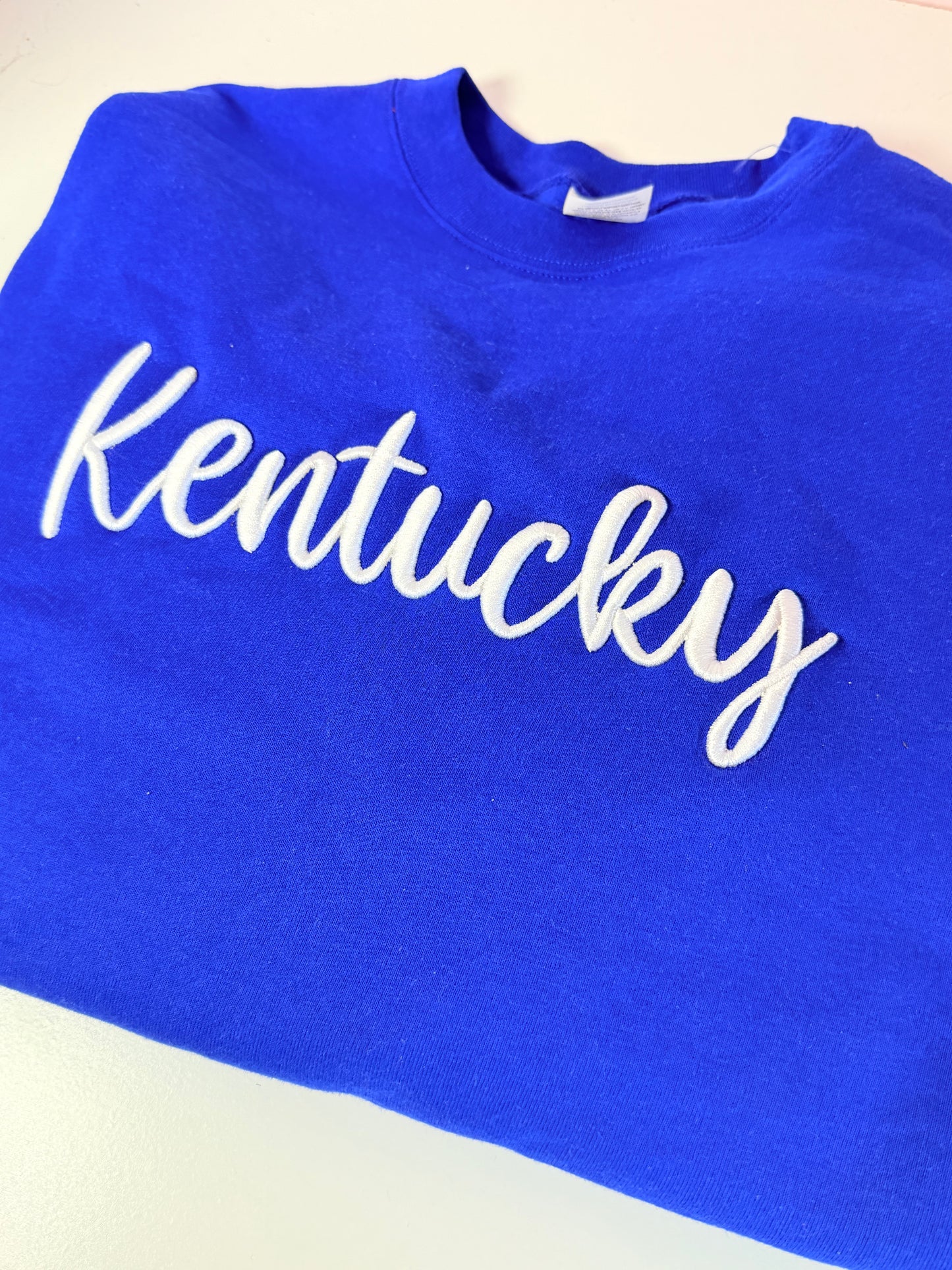 Kentucky 3D Puff embroidered sweatshirt
