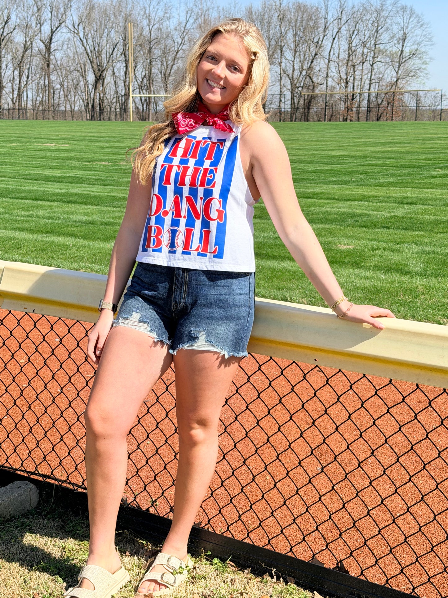 Hit the Dang Ball tank