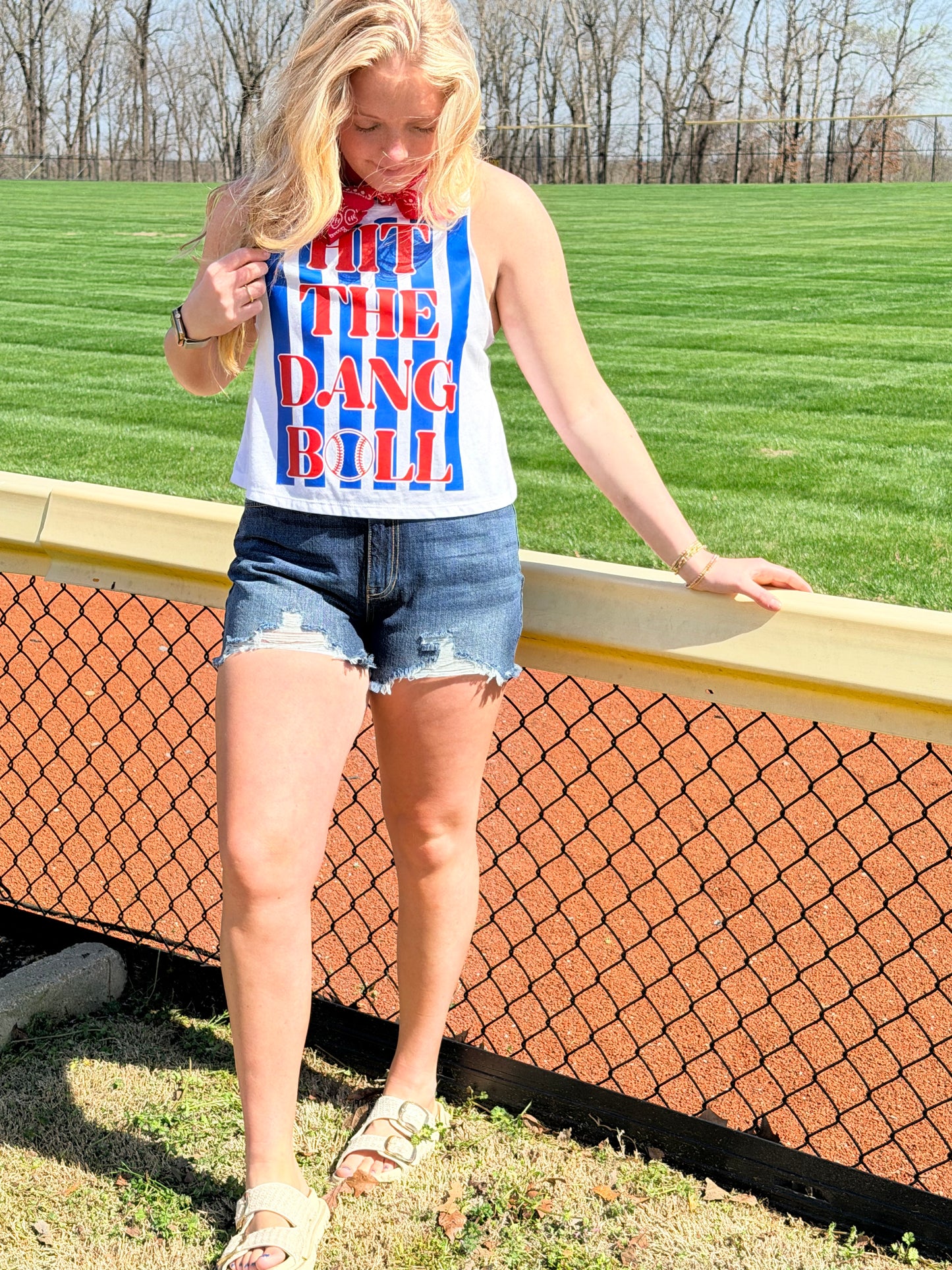 Hit the Dang Ball tank
