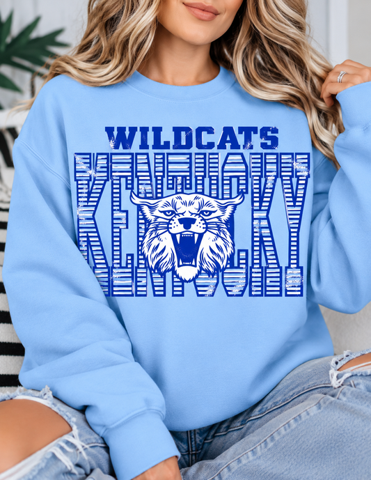 Kentucky wildcats