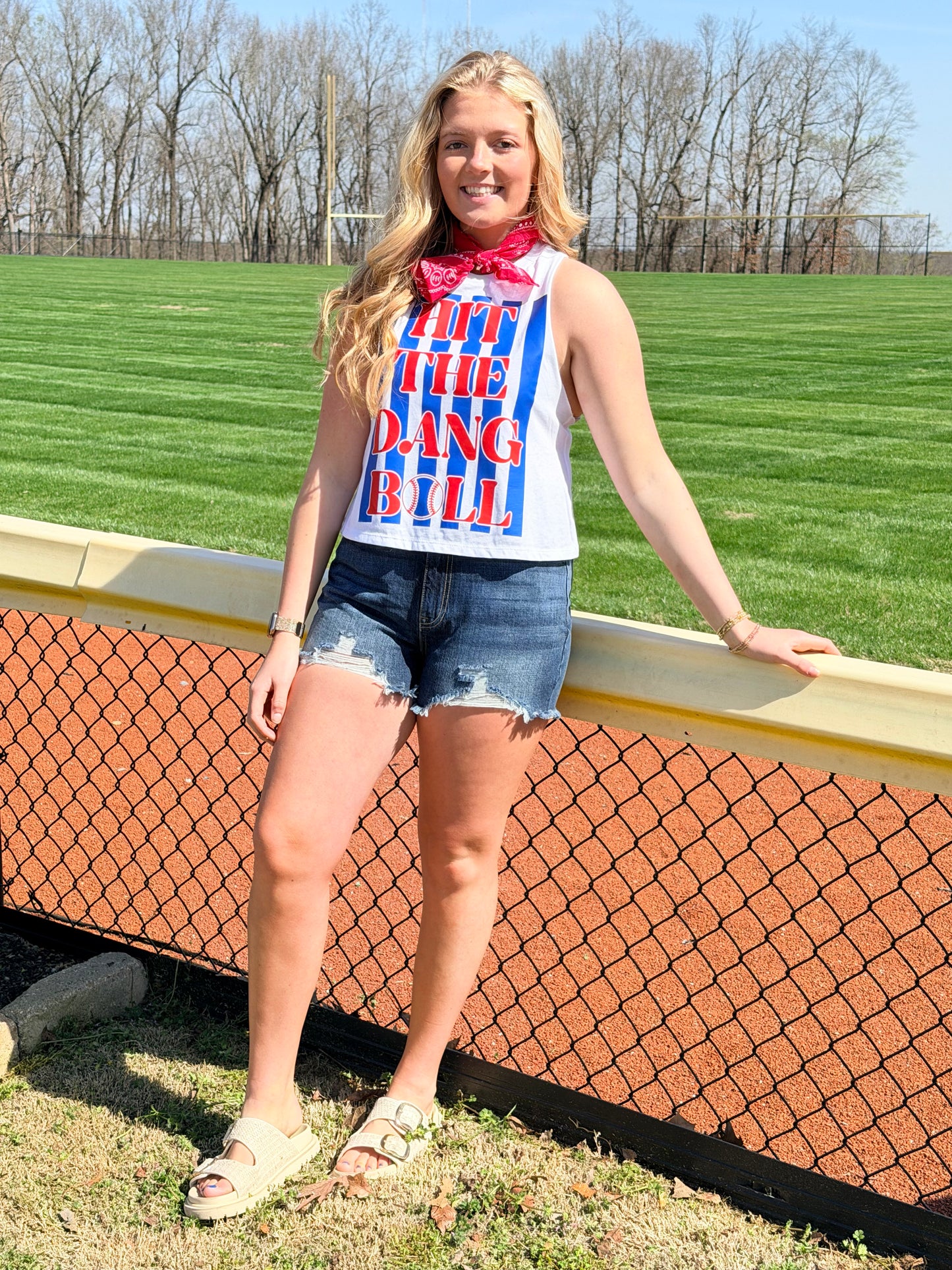 Hit the Dang Ball tank