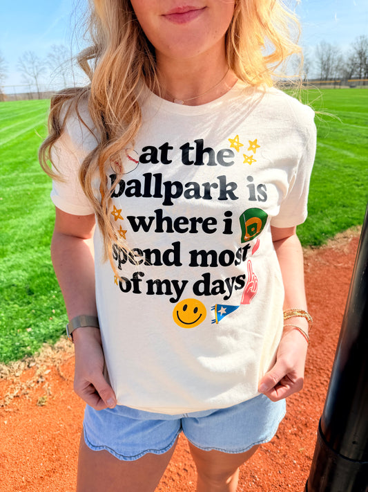 At The Ball Park is Where I Spend Most of My days tee