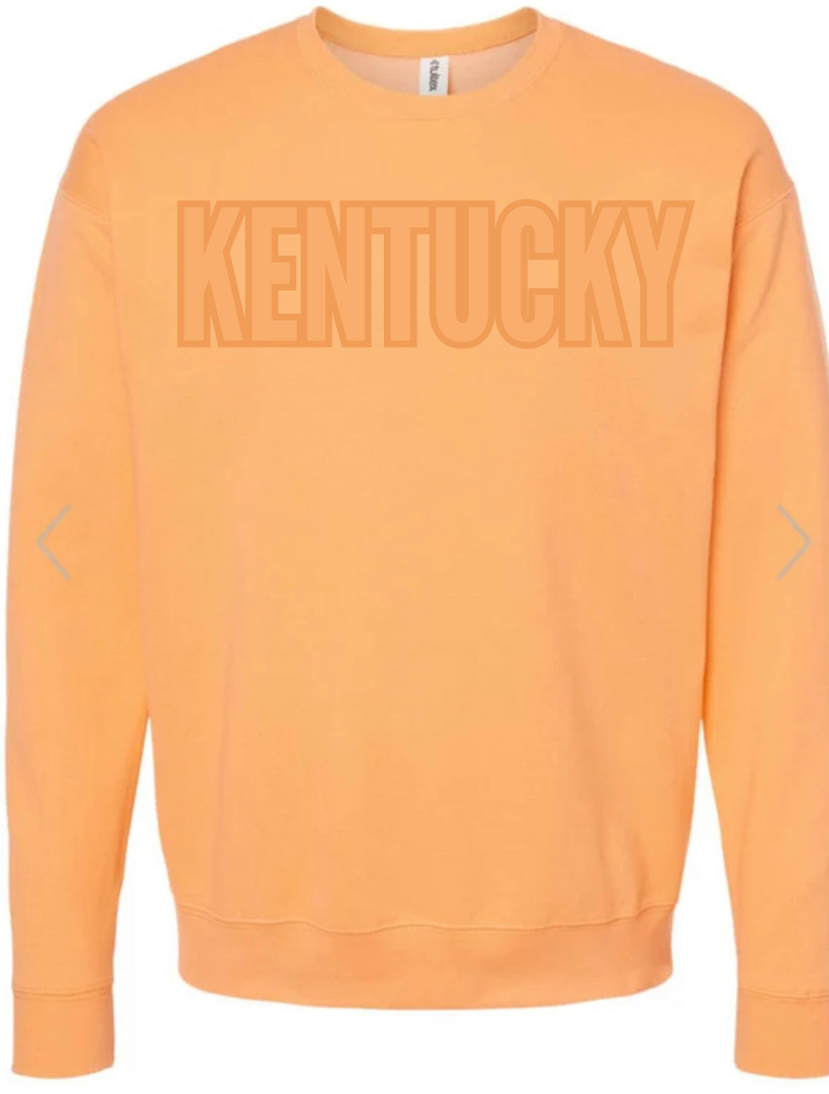 Tone on Tone Kentucky Coral sweatshirt