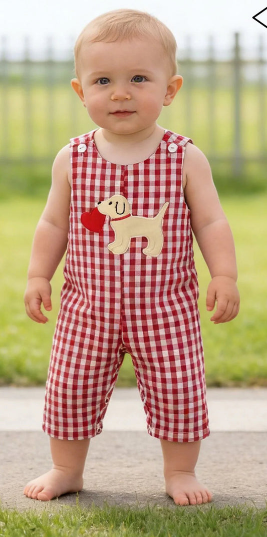 Baby Boys Puppy Love Jon Jon gingham