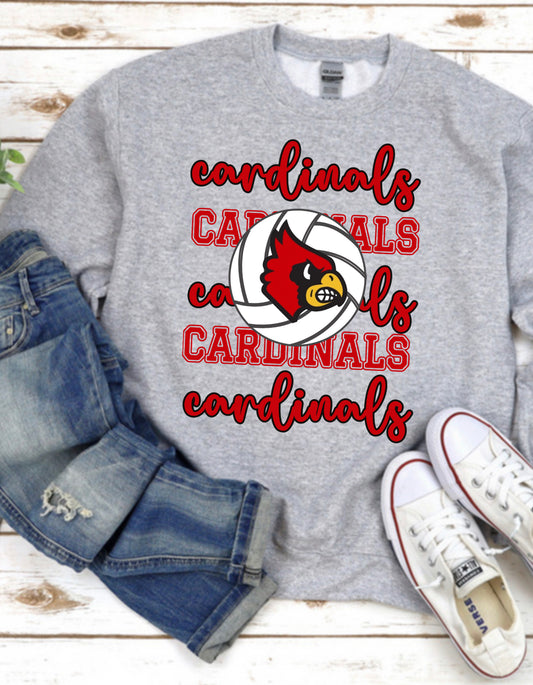 Cardinals Volleyball Spirit Wear