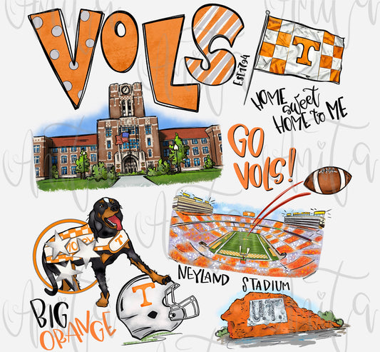 Vols graphic tee