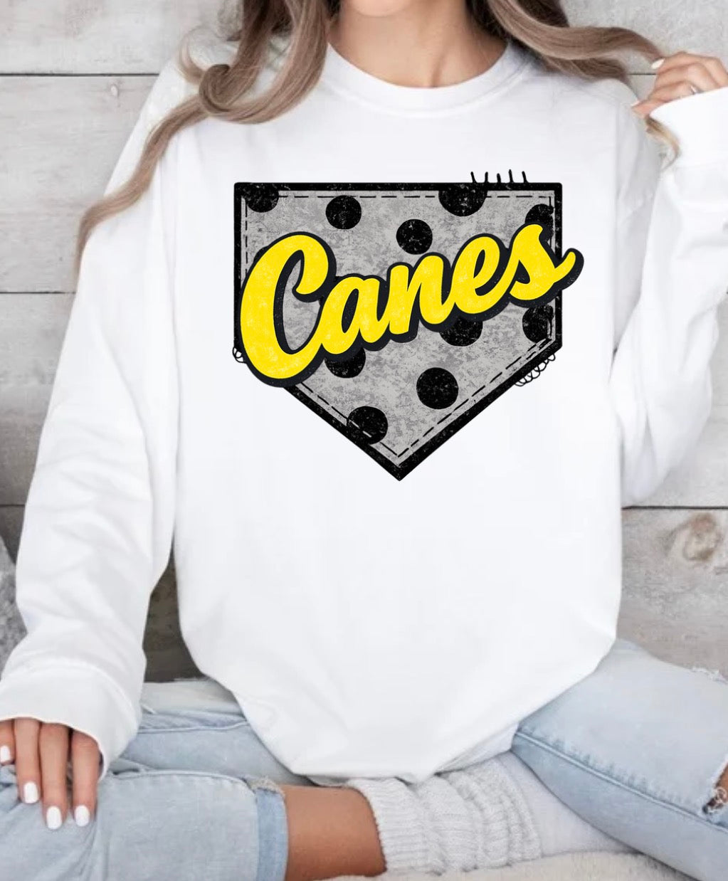 Canes Baseball Tshirt or Sweatshirt
