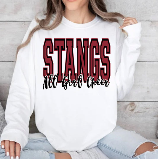 Stangs All Girl Cheer spirit wear