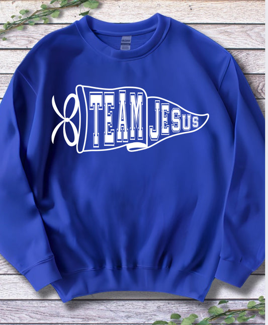 Team Jesus graphic tee or crew