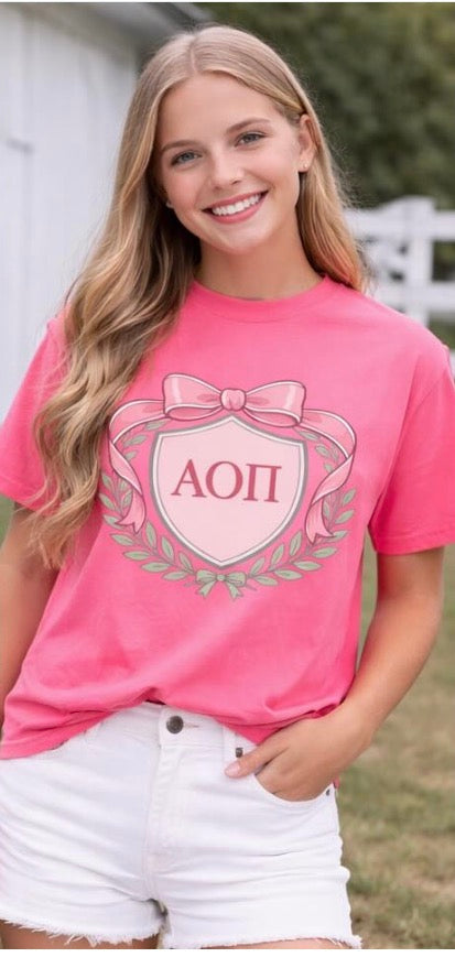 Spring AOPI graphic tee