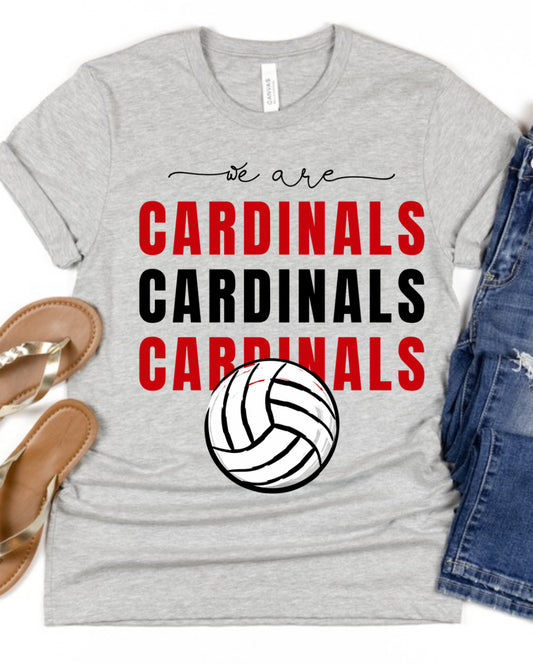 Cardinals Volleyball Spirit Wear