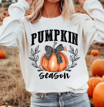 Pumpkin season Fall