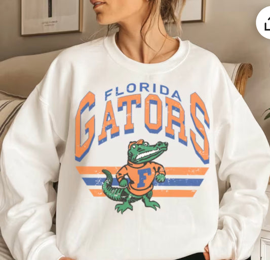 Florida Grunge T-shirt or sweatshirt Spirit Wear