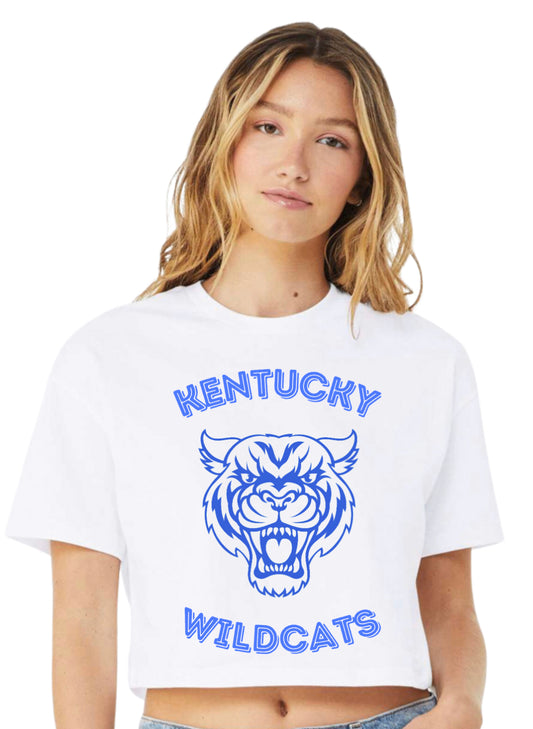 Kentucky wildcat Spirit Wear