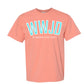 WWJD He would Love First Graphic tee